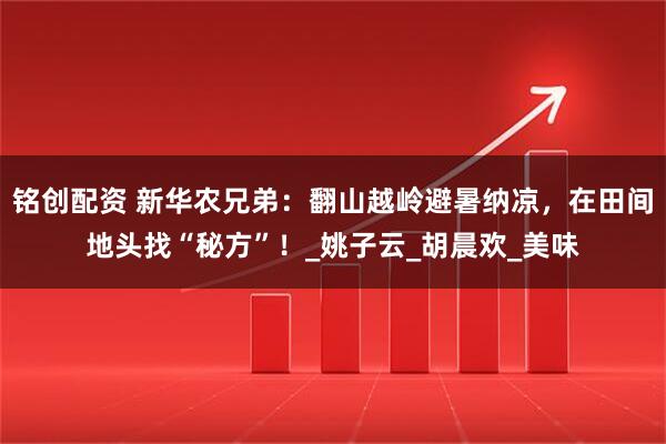 铭创配资 新华农兄弟：翻山越岭避暑纳凉，在田间地头找“秘方”！_姚子云_胡晨欢_美味
